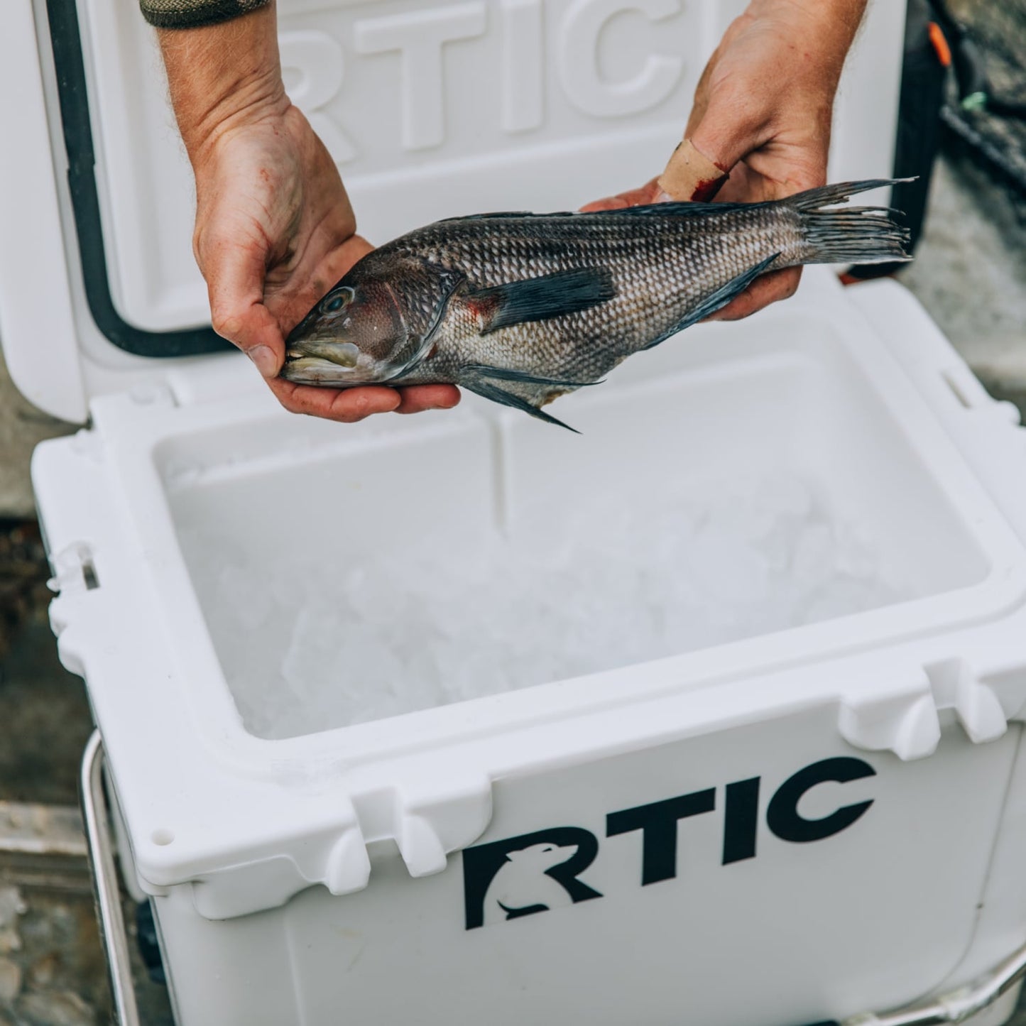 20 QT Ultra-Tough Cooler image 15