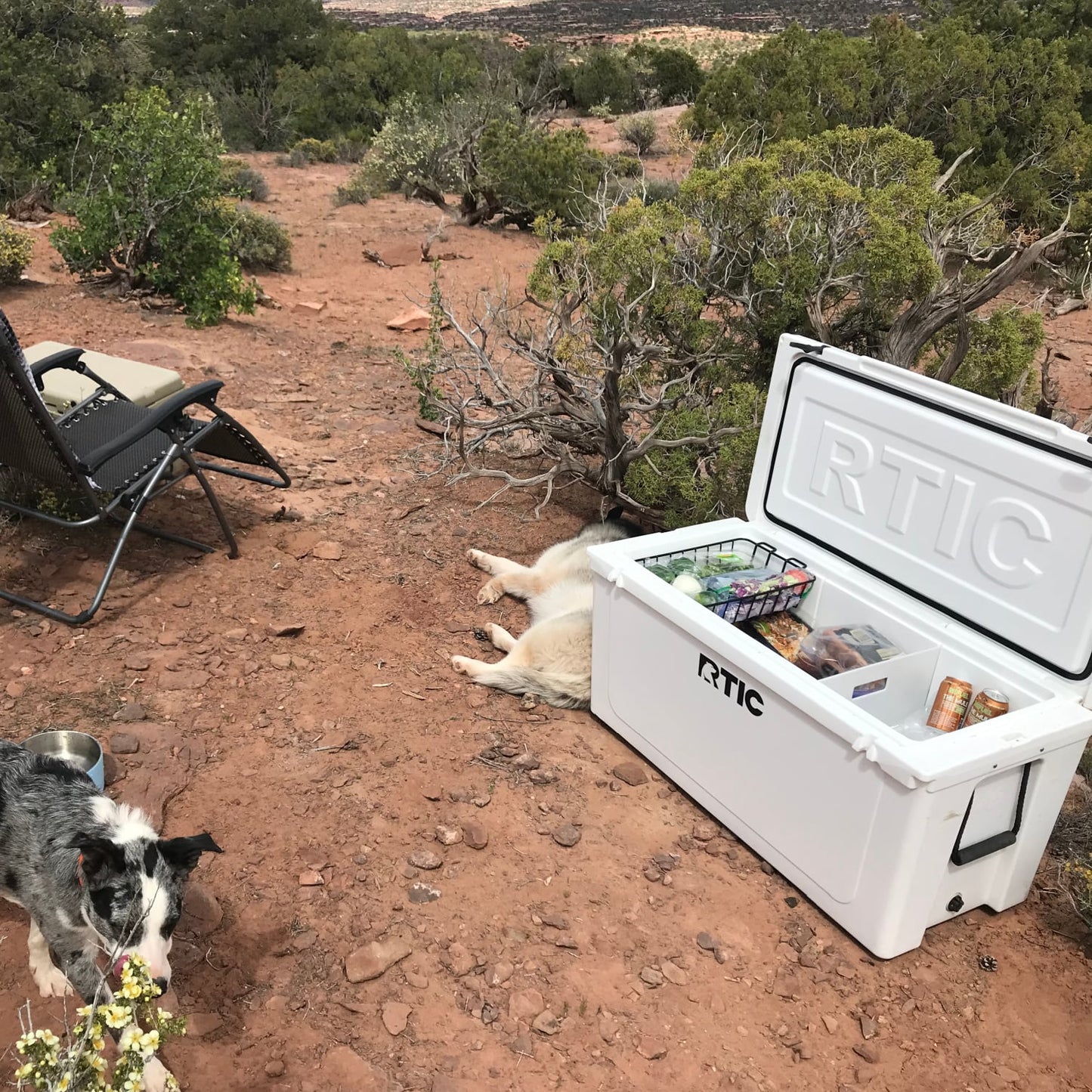 145 QT Ultra-Tough Cooler image 11